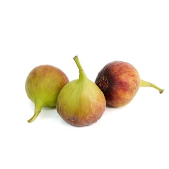 FRESH FIGS P/PKT