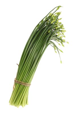 GARLIC CHIVES