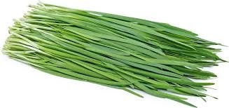 GARLIC CHIVES