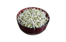MUNG (Greeen Grams) Sprouts