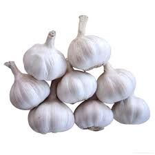 IMP GARLIC P/KG