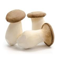 IMP KING OYSTER Mushroom PKT