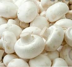 IMP white Mushroom PKT