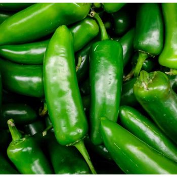JALAPENO CHILLIES P/KG