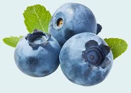 JUMBO BLUEBERRIES TUB 500GM P/PKT