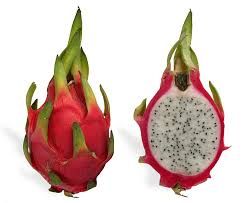 JURASSIC FRUITS P/PC
