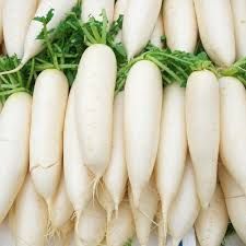 Korean Radish P/Kg