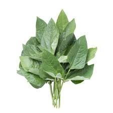 Kunde P/Bunch