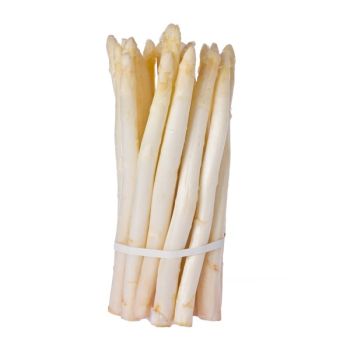 PMI Asparagus white