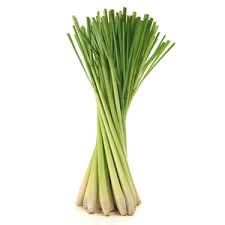 Lemon Grass Herbs P/Bunch