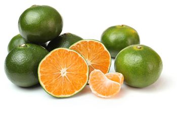  Local Tangerine