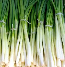 LOC SPRING ONION P/BNC