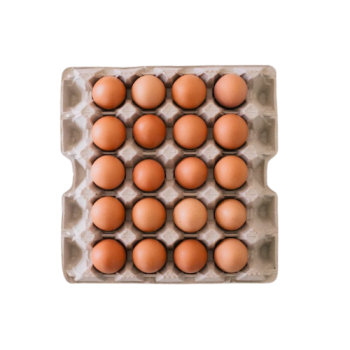 EGGS 20PACK