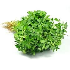 METHI P/BUNCH