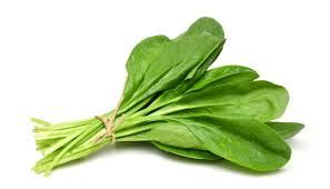 Palak P/Bunch