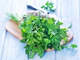 PARSLEY HERBS