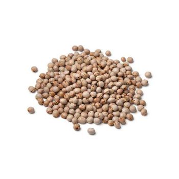 FRESH PIGION PEAS ( TUWERO)  P/KG
