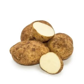 WHITE POTATOES P/KG