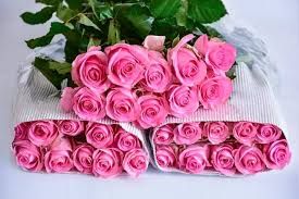 PREMIUM ROSES