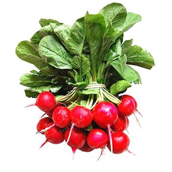 Red Radish P/Piece