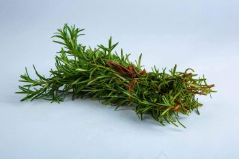 ROSE MARY HERB P/BUNCH