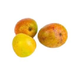 Sabine Mango