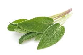 SAGE HERBS