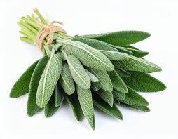 Sage Herbs P/Bunch
