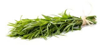 Tarragon Herbs P/Bunch