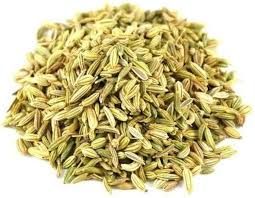 T/F FENNEL SEEDS 100GM (JAR)