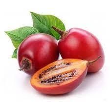 TREE TOMATOES P/KG