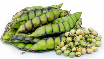 Fresh Pigion Peas ( Tuwero)  P/kg