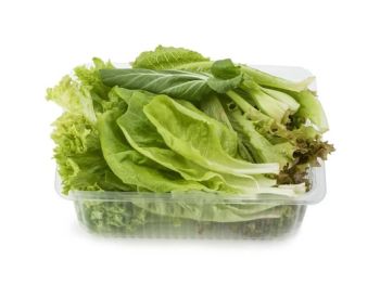 Cf Lettuce Salad P/Pack