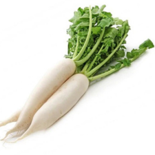 White Radish P/Piece