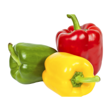 COLOURED CAPSICUM P/KG