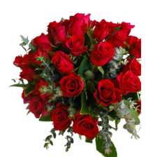 PREMIUM ROSES