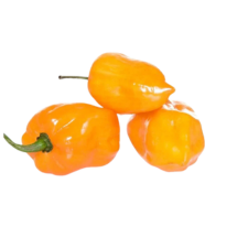 Habanero P/kg