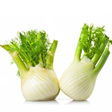 FENNEL P/KG