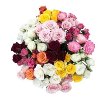 Spray Roses P/Bunch