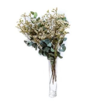 Elsa Sleeve P/Bunch