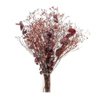 Liza Sleeve P/Bunch