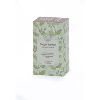 VINTAGE GINGER &LEMON INFUSION 15S