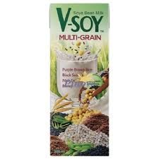 V SOY MULTI GRAIN 200ML