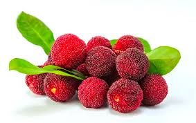 Waxberry 