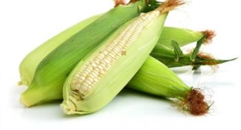 Green Maize P/Piece