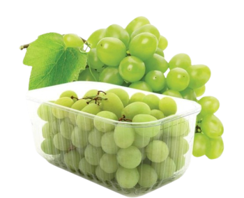 Grapes Green Seedless