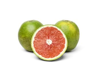 Local Red Navel Orange P/Kg