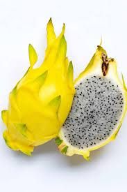 YELLOW DRAGON FRUIT P/KG